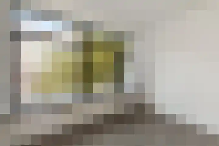 Datheenstraat 225 Vlaardingen thumbnail 21