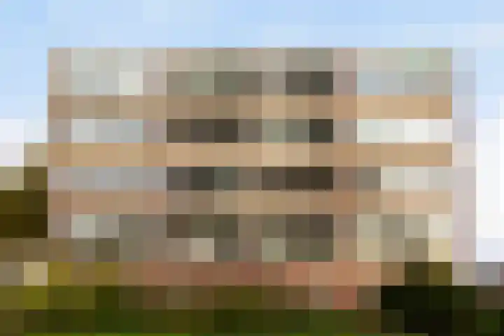 Datheenstraat 225 Vlaardingen thumbnail 31