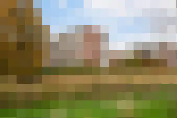 Datheenstraat 225 Vlaardingen thumbnail 33