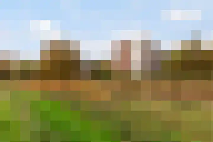 Datheenstraat 225 Vlaardingen thumbnail 34