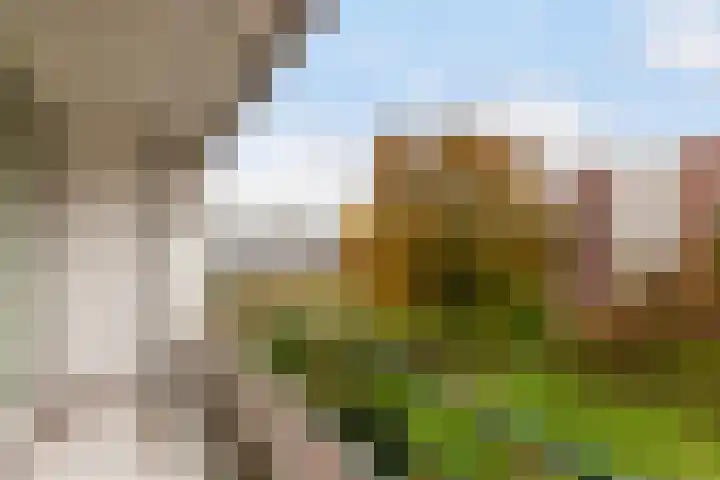Datheenstraat 225 Vlaardingen thumbnail 4