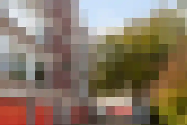 Datheenstraat 225 Vlaardingen thumbnail 5