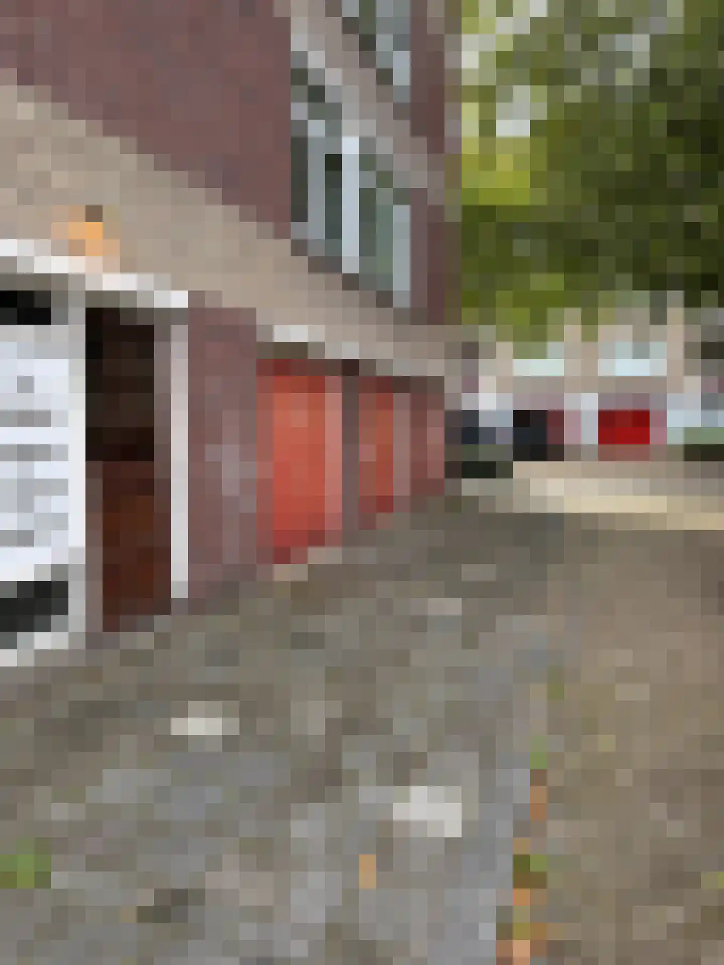 Datheenstraat 239 Vlaardingen thumbnail 6
