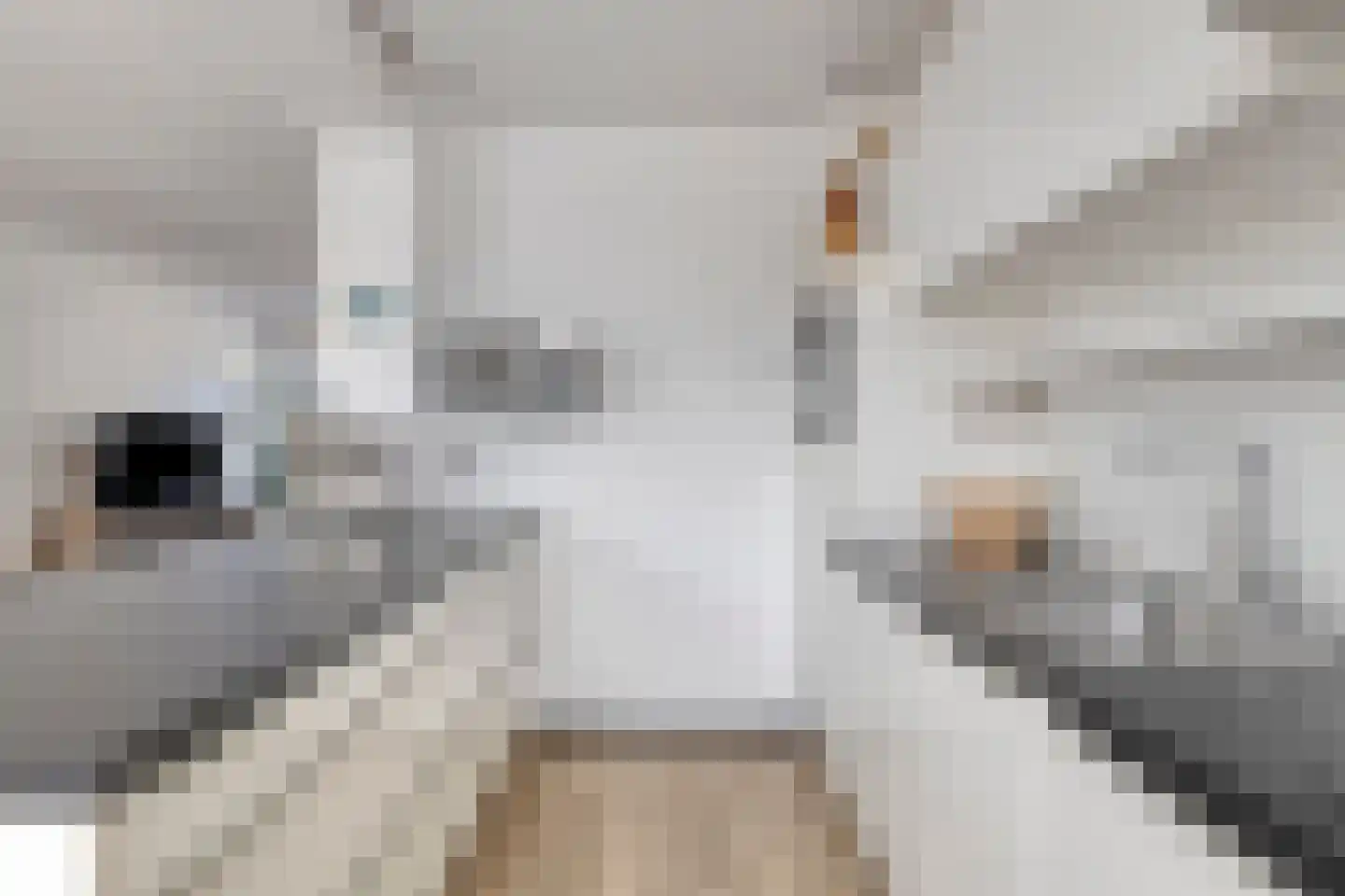 Dauphinélaan 10 Eindhoven thumbnail 11