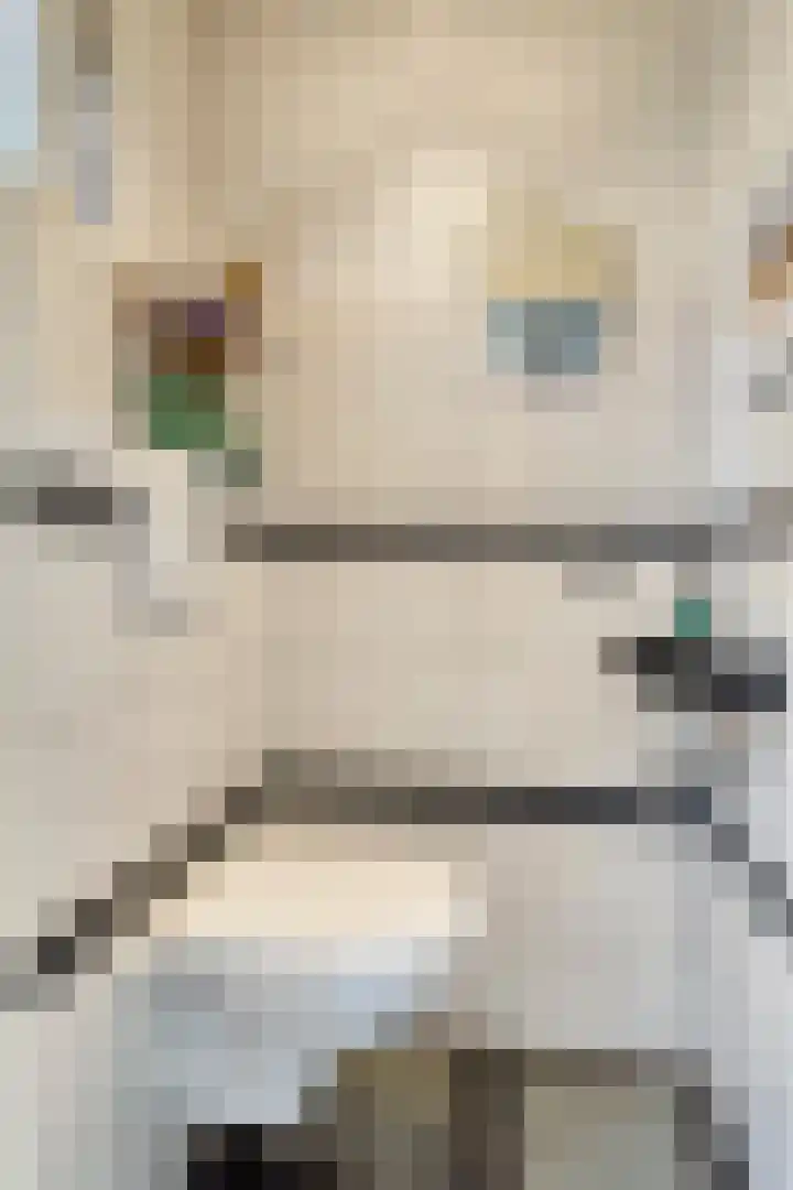 Dauphinélaan 12 Eindhoven thumbnail 13