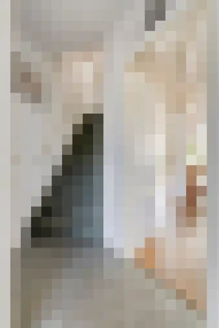 Dauphinélaan 12 Eindhoven thumbnail 14