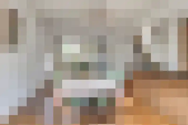 Dauphinélaan 12 Eindhoven thumbnail 19