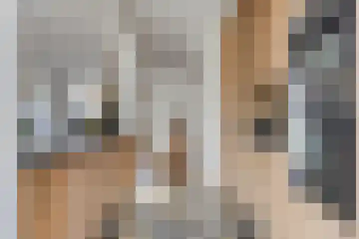 Dauphinélaan 12 Eindhoven thumbnail 21
