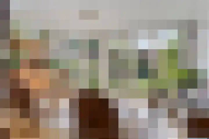 Dauphinélaan 12 Eindhoven thumbnail 22