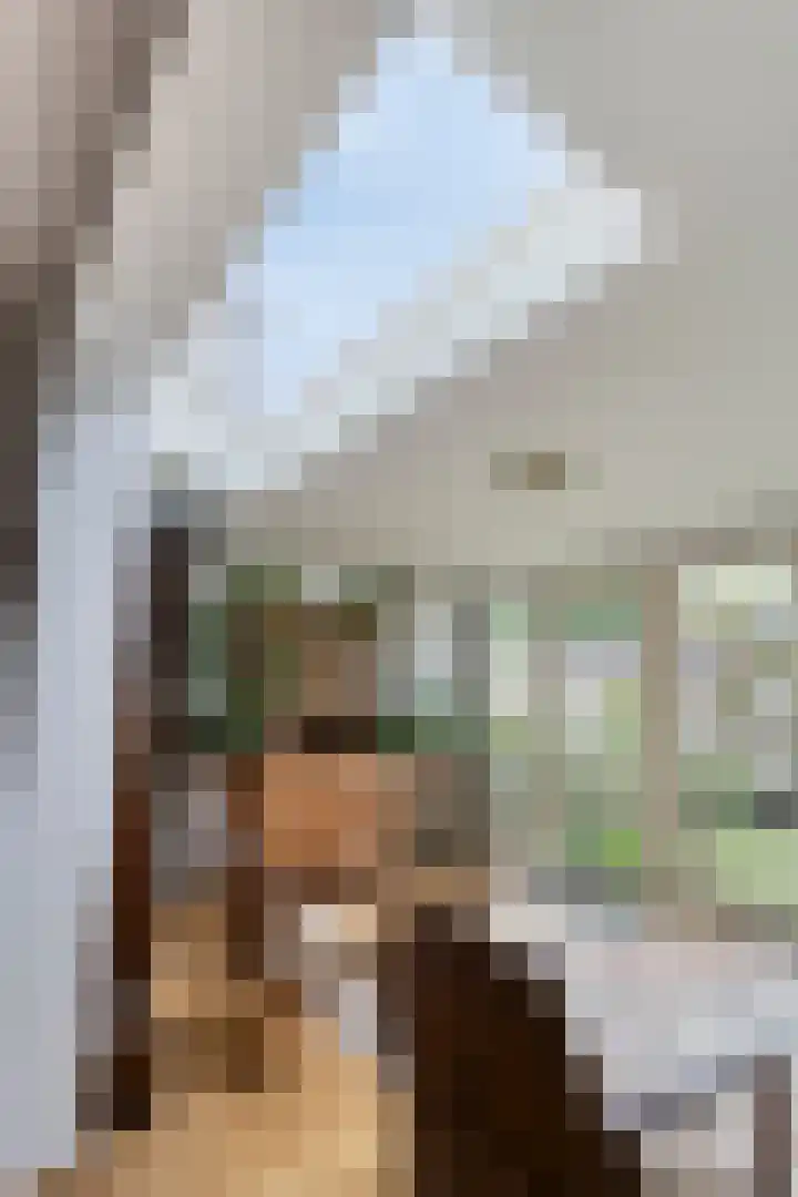 Dauphinélaan 12 Eindhoven thumbnail 23