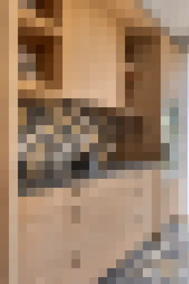 Dauphinélaan 12 Eindhoven thumbnail 24