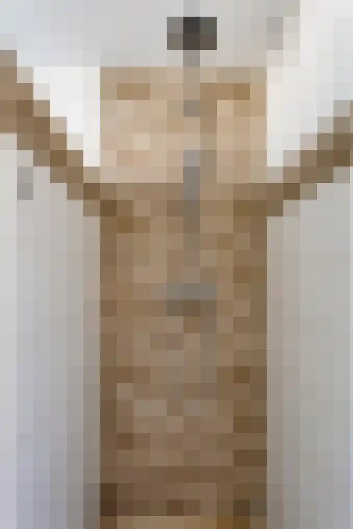 Dauphinélaan 12 Eindhoven thumbnail 27