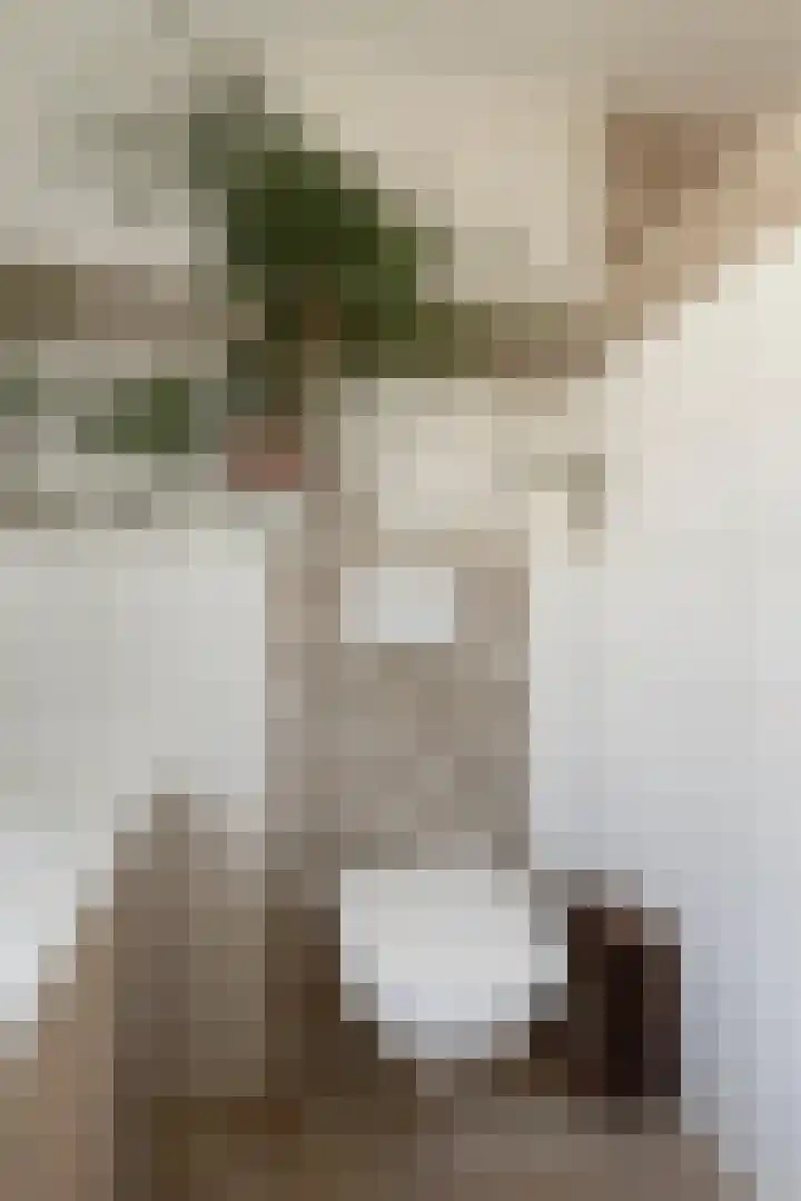 Dauphinélaan 12 Eindhoven thumbnail 28