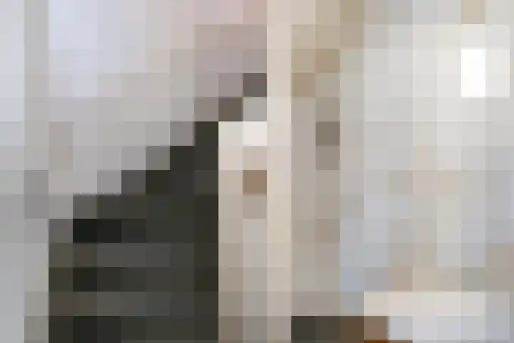 Dauphinélaan 12 Eindhoven thumbnail 29