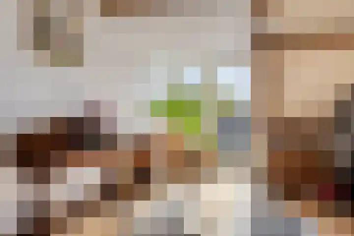 Dauphinélaan 12 Eindhoven thumbnail 32