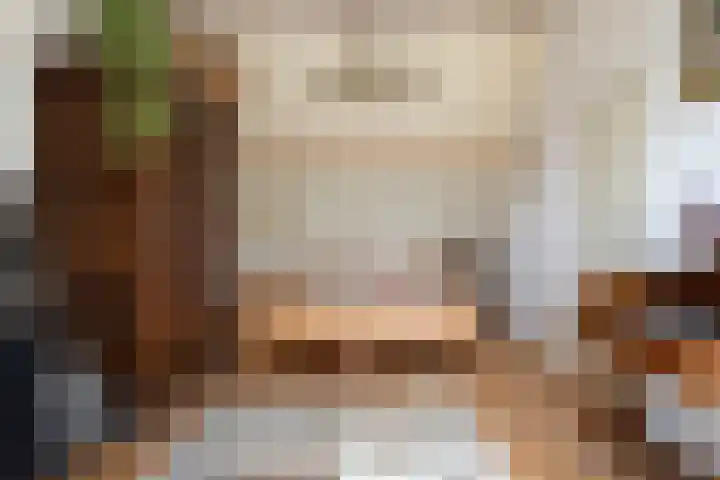 Dauphinélaan 12 Eindhoven thumbnail 33