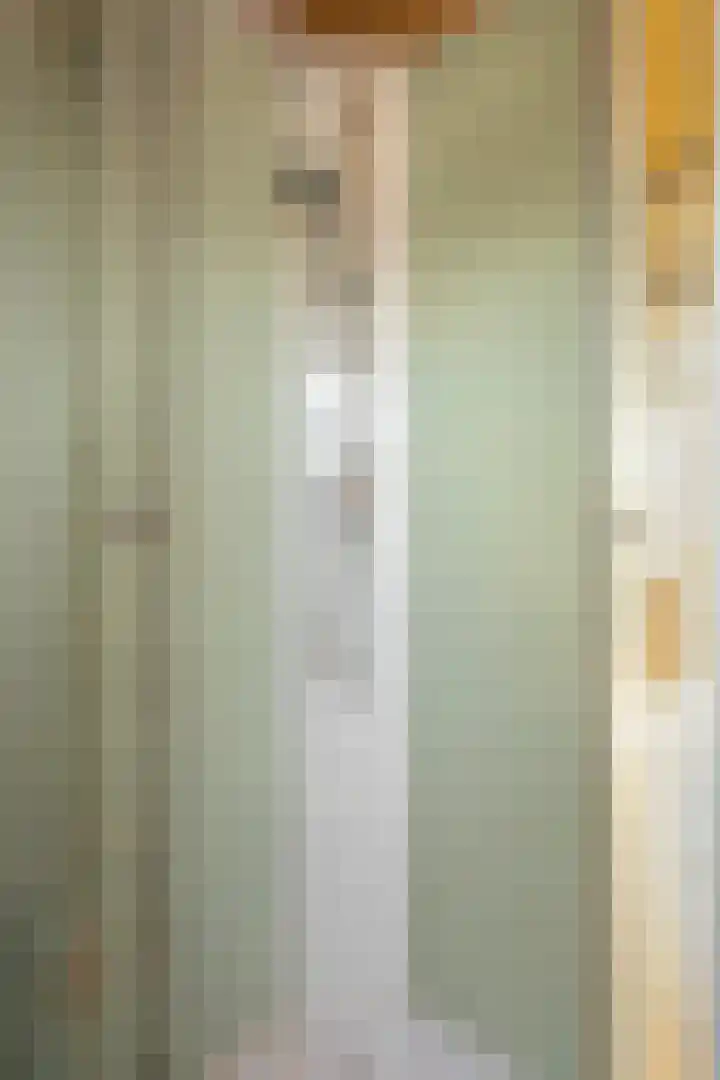 Dauphinélaan 12 Eindhoven thumbnail 36
