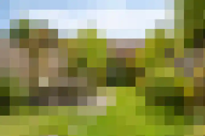 Dauphinélaan 12 Eindhoven thumbnail 38
