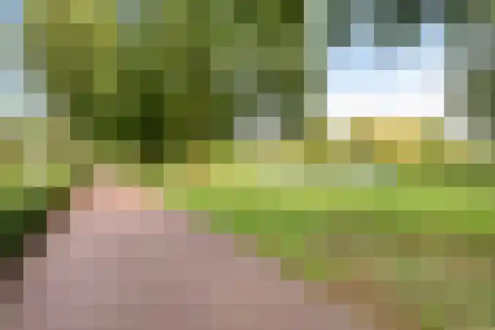 Dauphinélaan 12 Eindhoven thumbnail 40