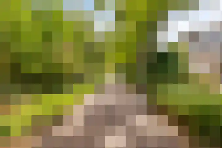 Dauphinélaan 12 Eindhoven thumbnail 41