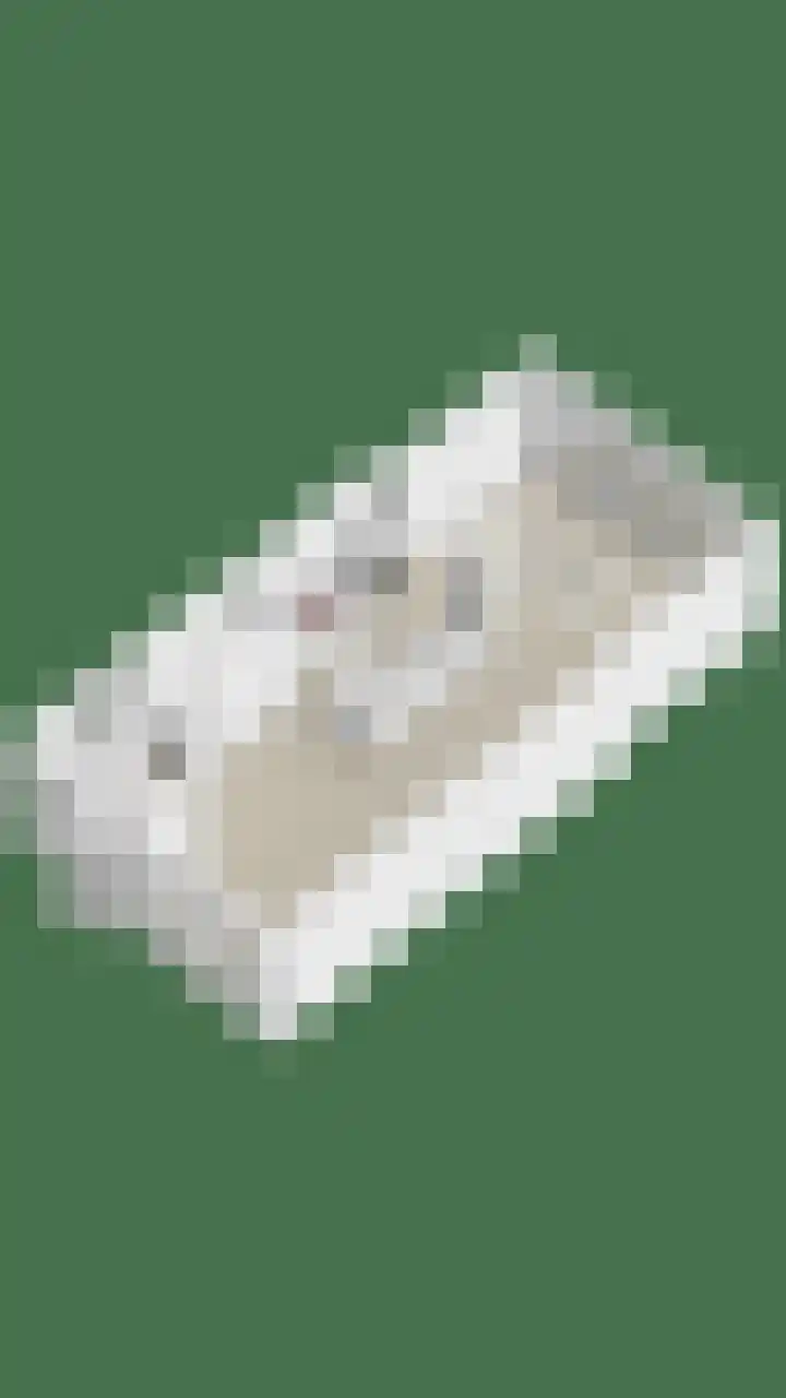 Dauphinélaan 12 Eindhoven thumbnail 47
