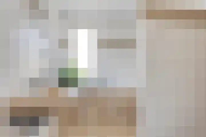 Dauphinélaan 12 Eindhoven thumbnail 5