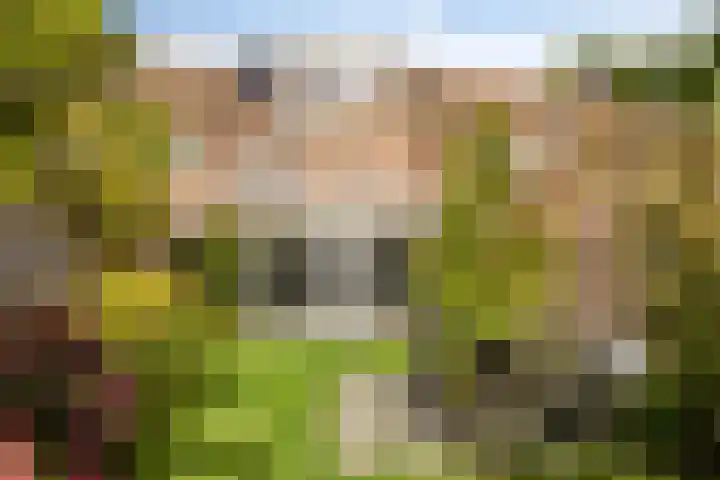 Dauphinélaan 12 Eindhoven thumbnail 6