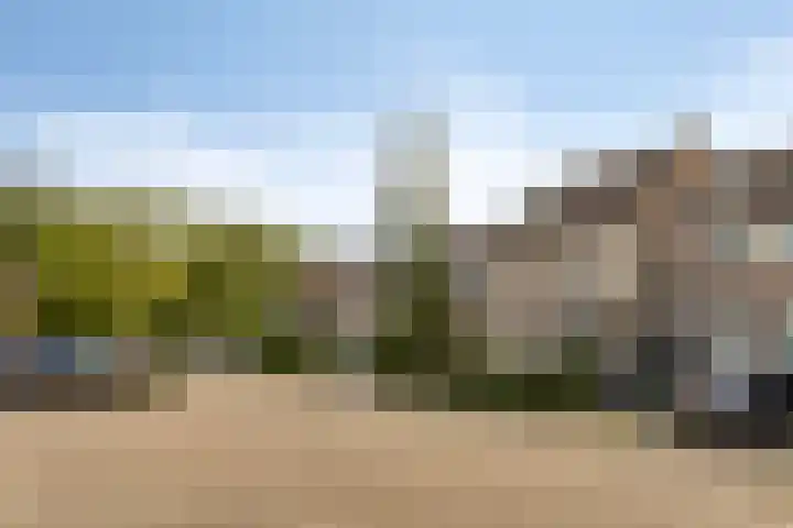Dauphinélaan 12 Eindhoven thumbnail 8