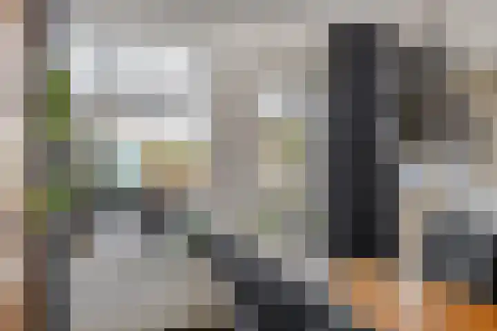 Dauphinélaan 19 Eindhoven thumbnail 15