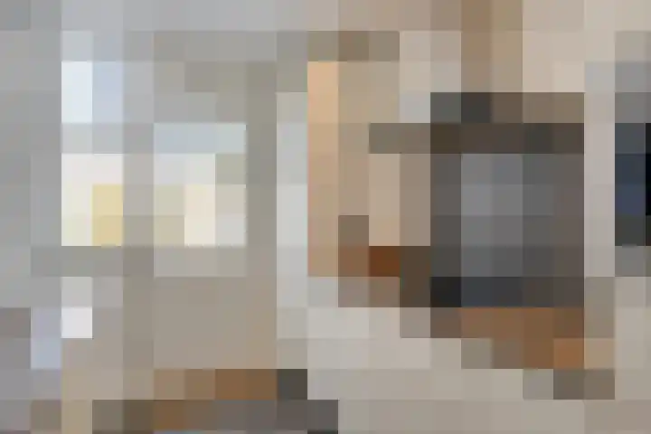 Dauphinélaan 19 Eindhoven thumbnail 16