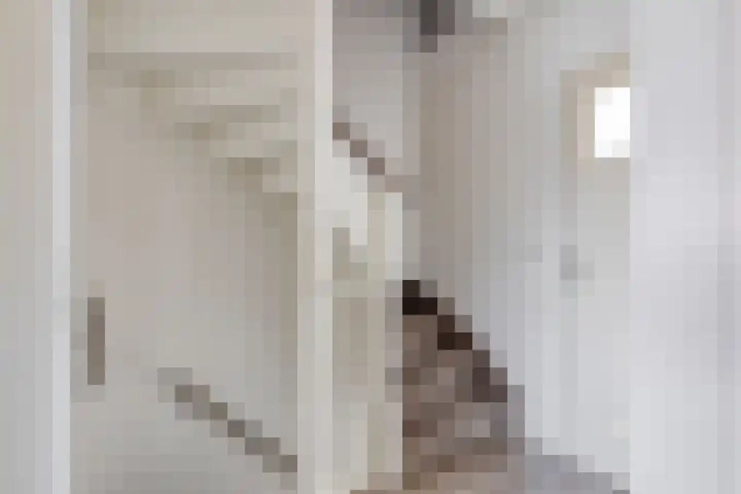 Dauphinélaan 19 Eindhoven thumbnail 18