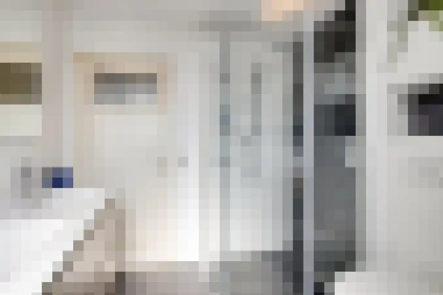Dauphinélaan 19 Eindhoven thumbnail 21