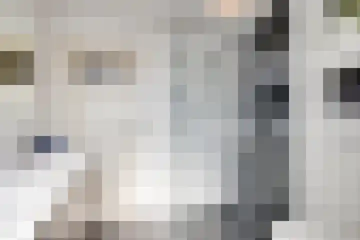 Dauphinélaan 19 Eindhoven thumbnail 21