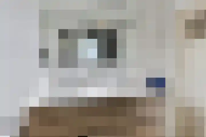 Dauphinélaan 19 Eindhoven thumbnail 22