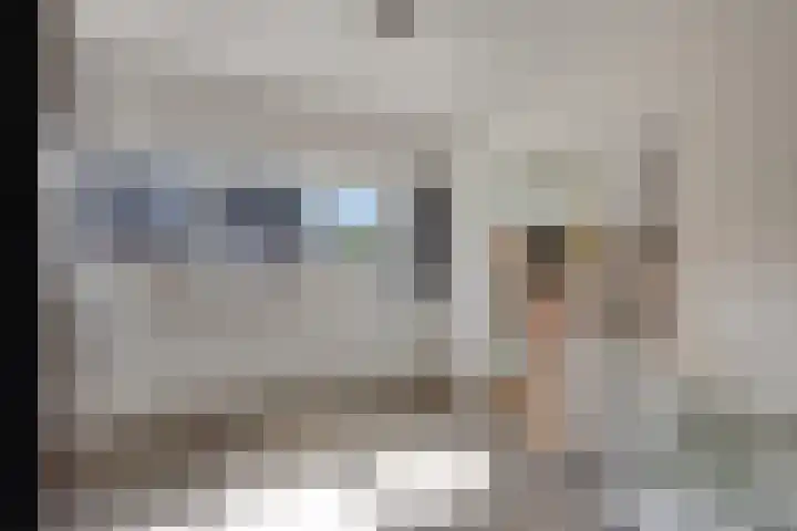 Dauphinélaan 19 Eindhoven thumbnail 23