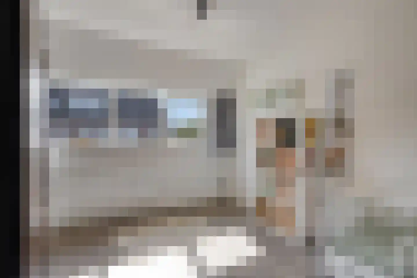 Dauphinélaan 19 Eindhoven thumbnail 23