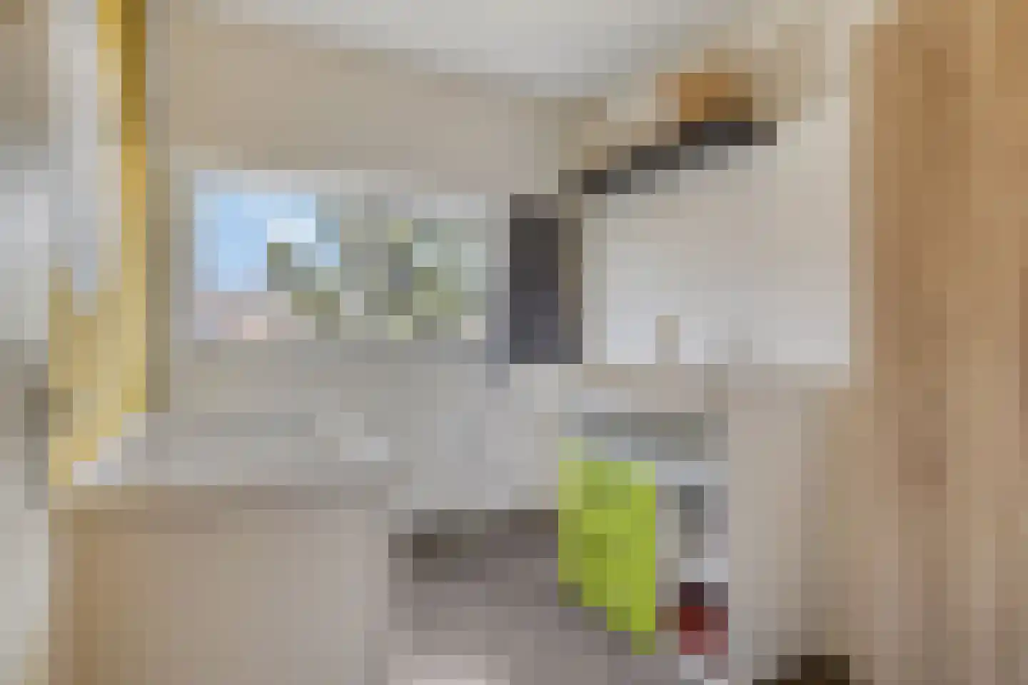 Dauphinélaan 19 Eindhoven thumbnail 25