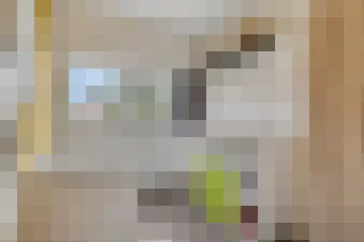 Dauphinélaan 19 Eindhoven thumbnail 25