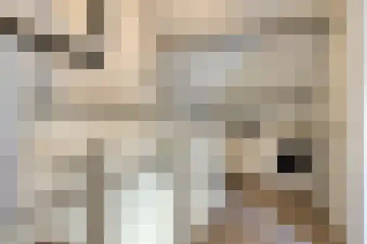 Dauphinélaan 19 Eindhoven thumbnail 26