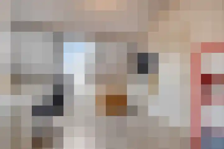 Dauphinélaan 19 Eindhoven thumbnail 28