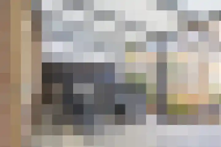 Dauphinélaan 19 Eindhoven thumbnail 29