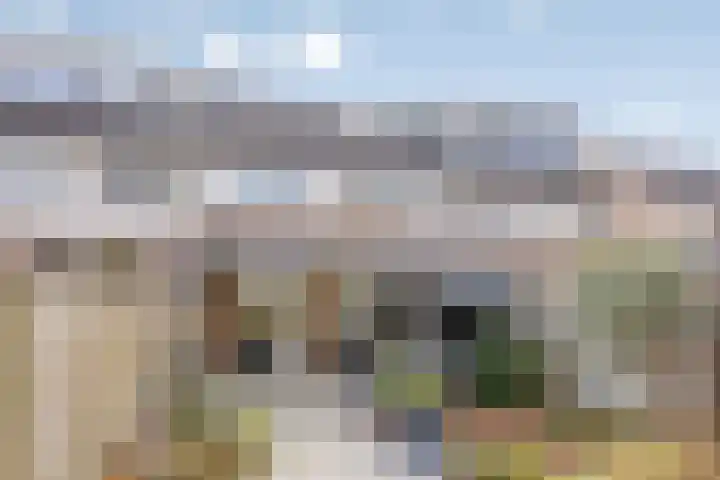 Dauphinélaan 19 Eindhoven thumbnail 31