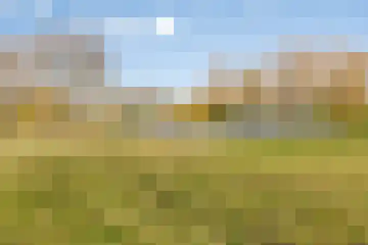 Dauphinélaan 19 Eindhoven thumbnail 33