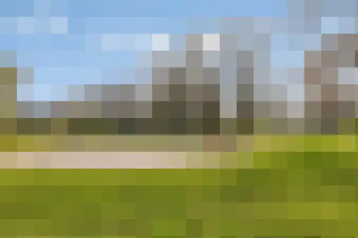 Dauphinélaan 19 Eindhoven thumbnail 34