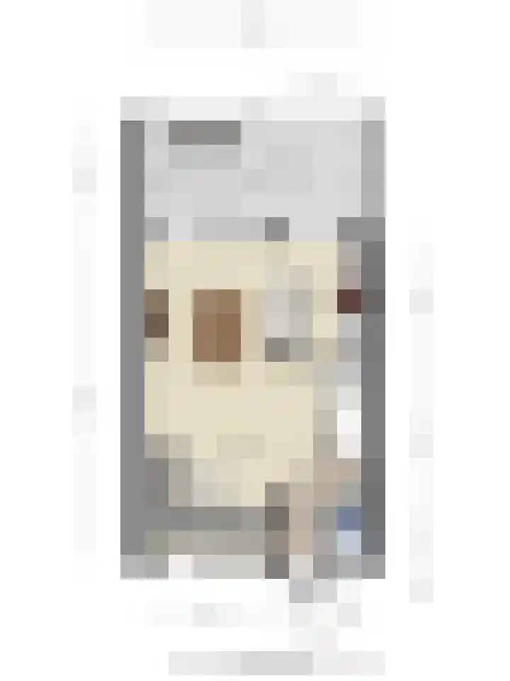 Dauphinélaan 19 Eindhoven thumbnail 37