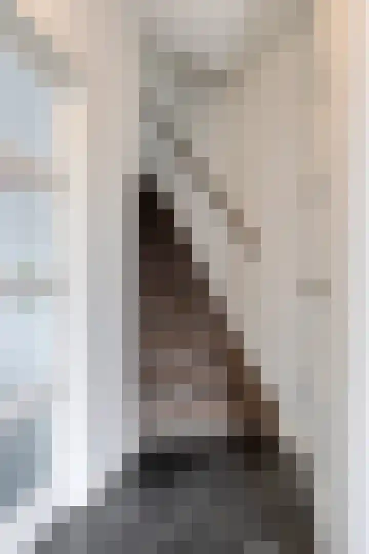 Dauphinélaan 19 Eindhoven thumbnail 8
