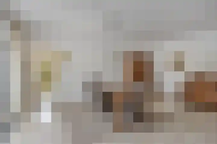 Dauphinélaan 23 Maastricht thumbnail 10
