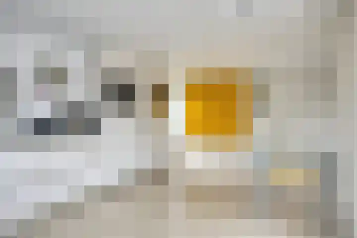 Dauphinélaan 23 Maastricht thumbnail 13