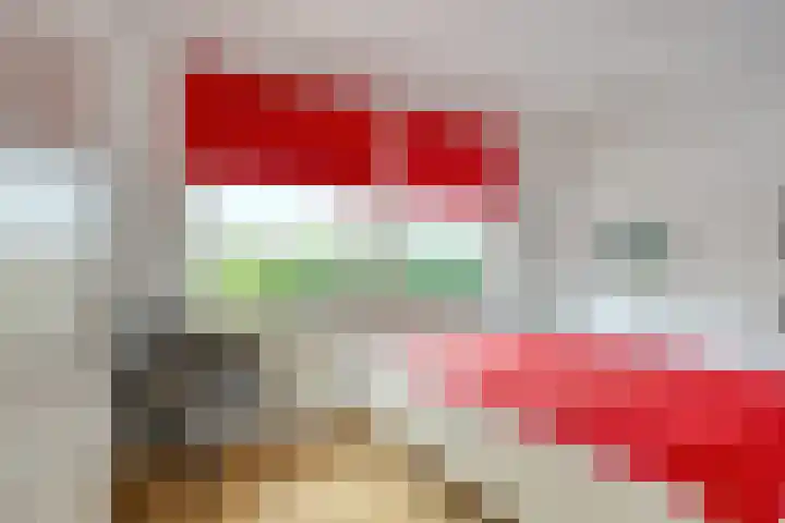 Dauphinélaan 23 Maastricht thumbnail 18
