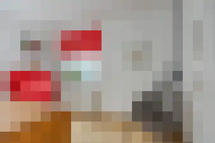 Dauphinélaan 23 Maastricht thumbnail 19